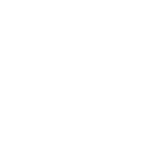 Kögel Trailer