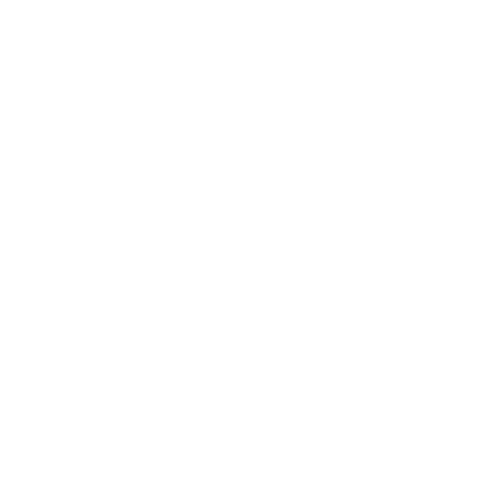 Dongfeng